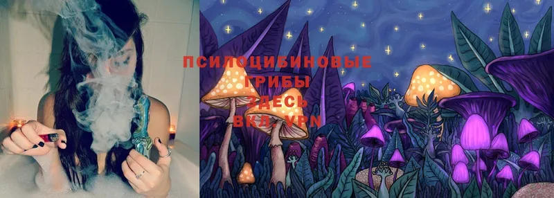 Псилоцибиновые грибы MAGIC MUSHROOMS  блэк спрут онион  Алапаевск  где купить наркотик 